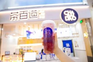 1xbet加盟费用包括哪些？